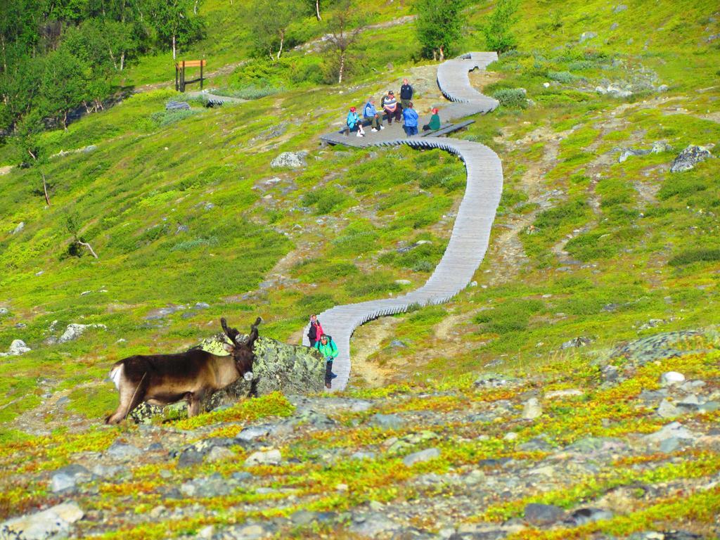 Haltinmaa Cottages Kilpisjärvi Kültér fotó